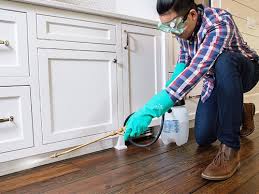 Real Estate Pest Inspections in Naples, FL